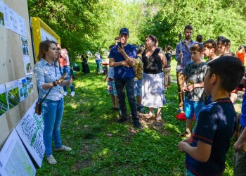 Городские сообщники